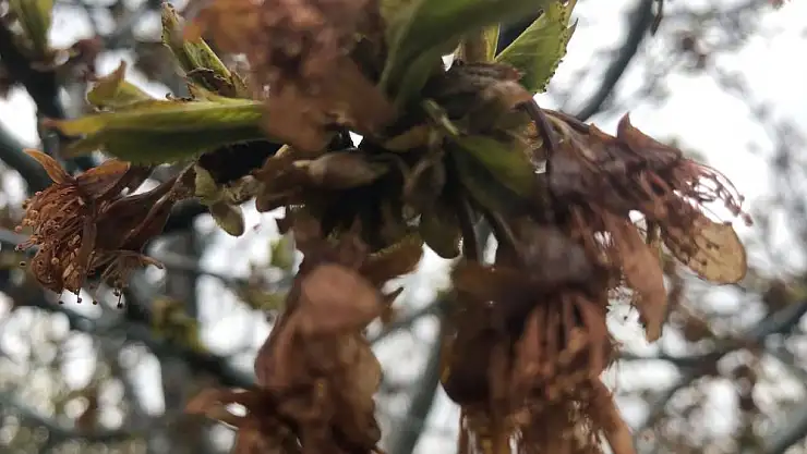 Üretici destek ve yardım bekliyor