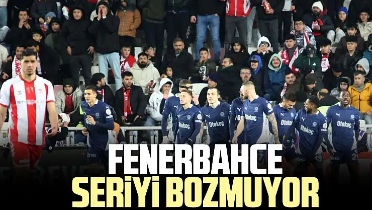 FENERBAHCE SERiYi BOZMUYOR