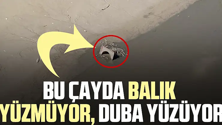BALIK YÜZMÜYOR DUBA YÜZÜYOR