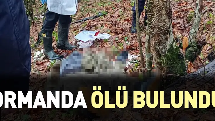 Ormanda tüfekle vurulmuş halde ölü bulundu
