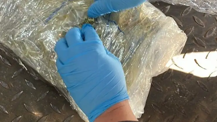Aracın çamurluklarında 4 paket kuru yeşil yaprak bulundu