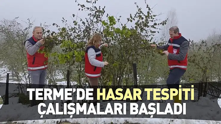 Terme'de hasar tespiti çalışmaları başladı