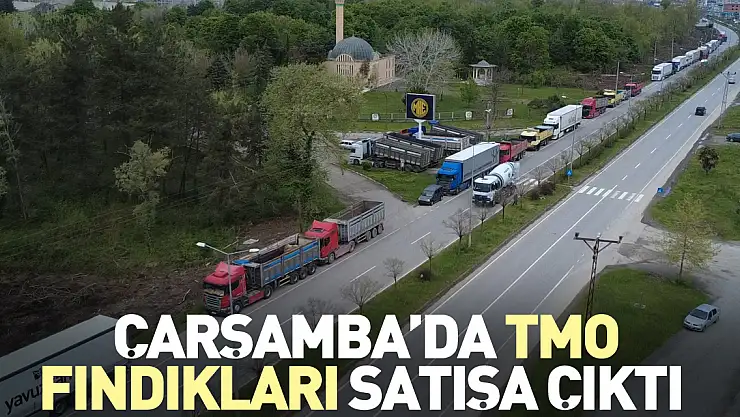 Çarşamba'da TMO fındıkları satışa çıktı