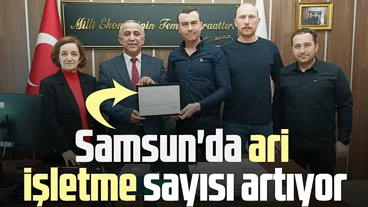 Samsun'da ari işletme sayısı artıyor