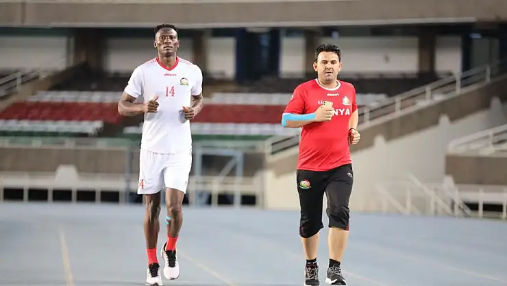 Türkiye'den, dünyaya uzanan başarı hikayesi