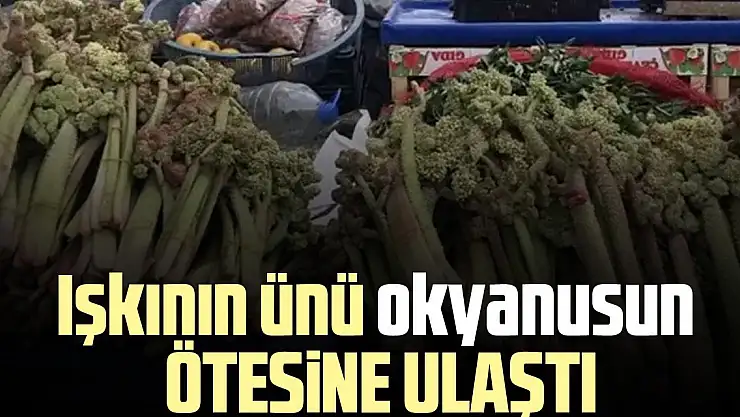 Işkının ünü okyanusun ötesine ulaştı