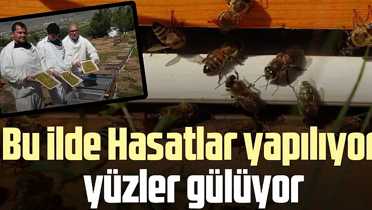 Bu ilde Hasatlar yapılıyor yüzler gülüyor
