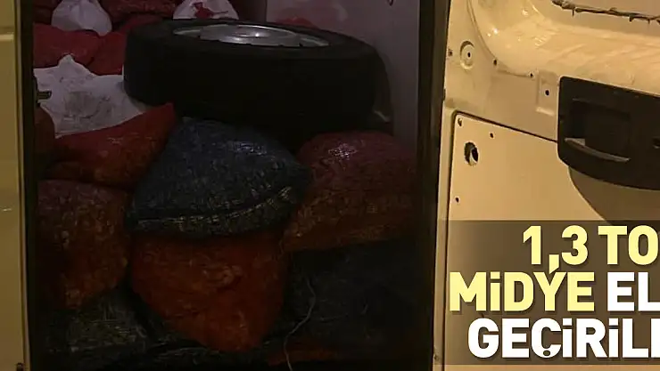 1,3 ton midye ele geçirildi