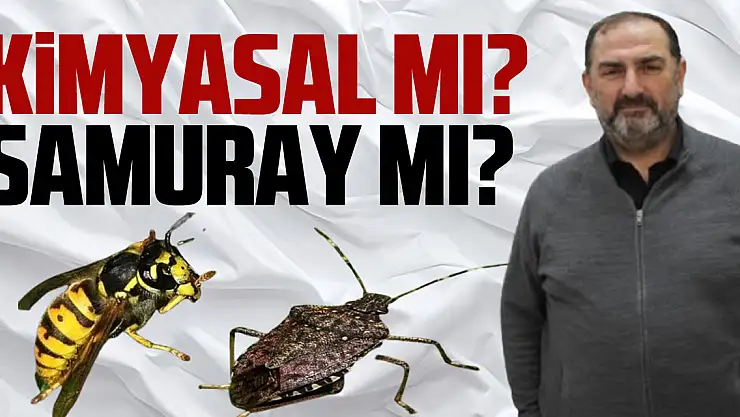 Kimyasal mı? Samuray mı?