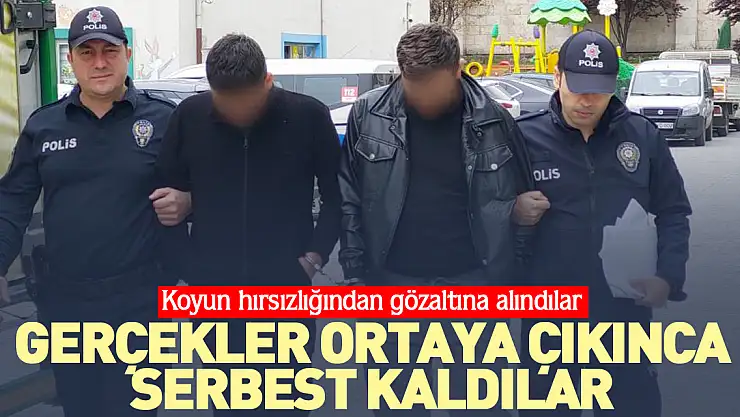 Gerçekler ortaya çıkınca serbest kaldılar
