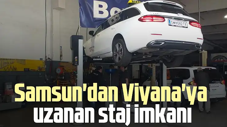 Samsun'dan Viyana'ya uzanan staj imkanı