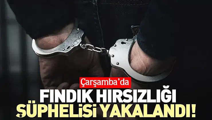 Fındık hırsızlığı şüphelisi yakalandı!