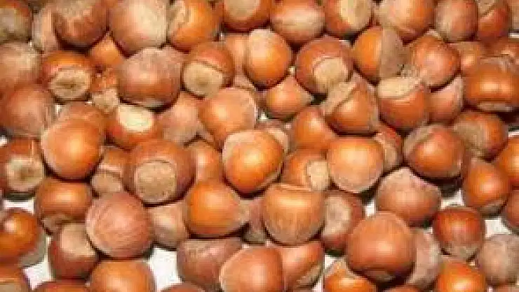 1 milyar doları aştı