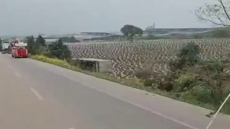 Tarlaya uçan tır, vinç yardımıyla çıkarıldı