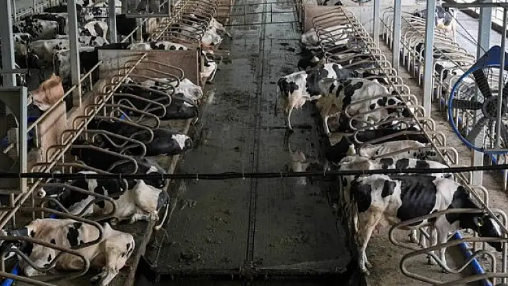 Hedef 2 milyon tona ulaşmak