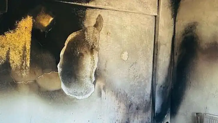 Kıvılcımlar sonucu ev küle döndü