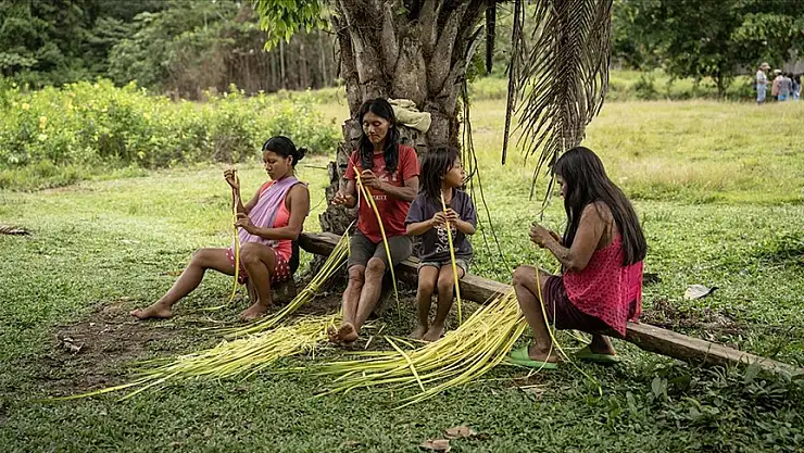 Ormanları'nın koruyucu kabilesi: Waoraniler