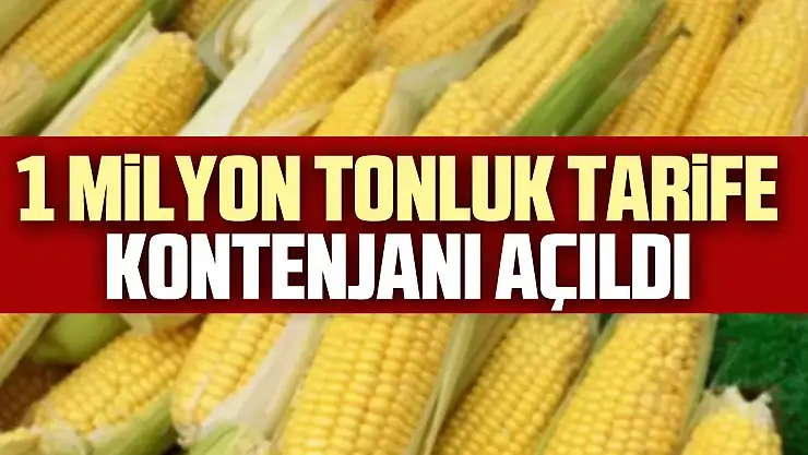 1 milyon tonluk tarife kontenjanı açıldı