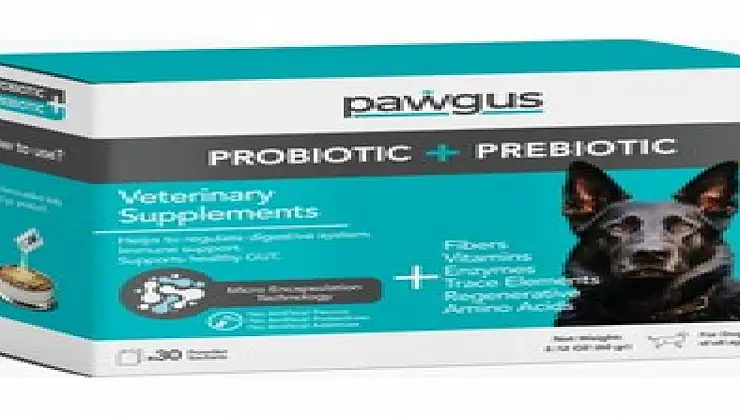 Stres Altındaki Köpeklere Yaklaşım