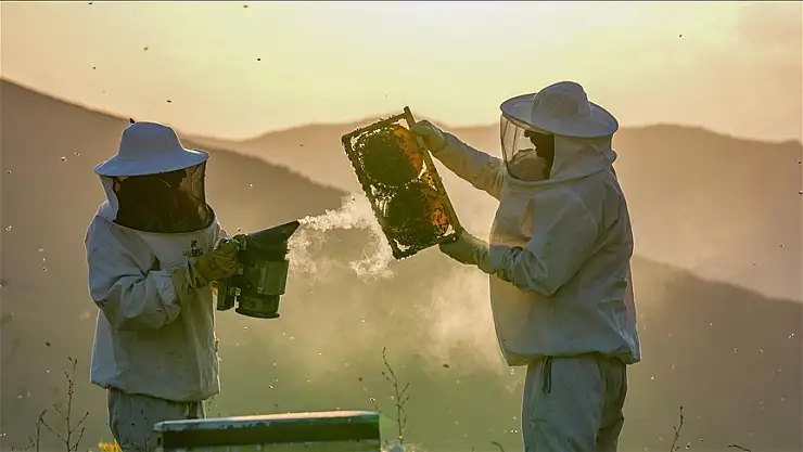 'Arıcılık rotaları' turizme katkı sağlayacak