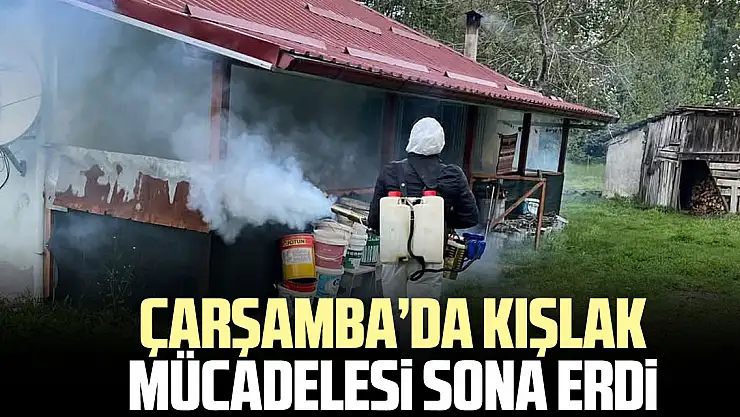 Çarşamba'da kışlak mücadelesi sona erdi