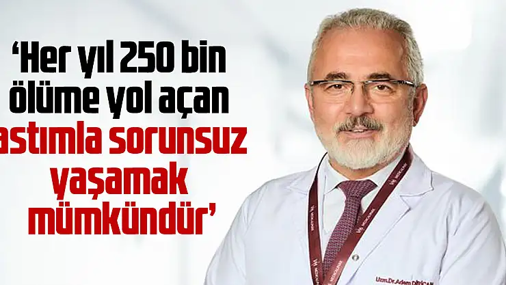 Her yıl 250 bin ölüme yol açan