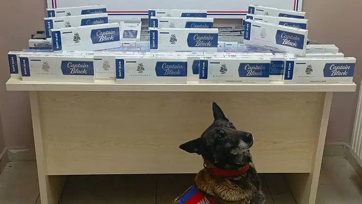 Bin 400 paket kaçak sigara