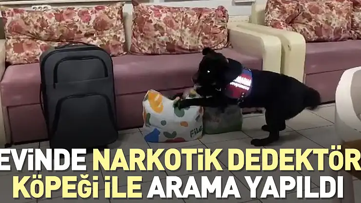 Evinde narkotik dedektör köpeği ile arama yapıldı