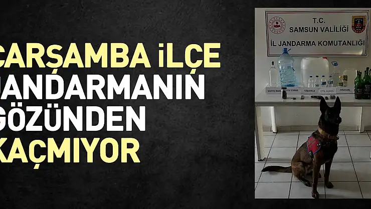 Çarşamba ilçe jandarmanın gözünden kaçmıyor