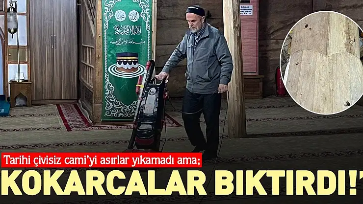 TARİHİ ÇİVİSİZ CAMİ'Yİ ASIRLAR YIKAMADI AMA 'KOKARCALAR BIKTIRDI!'