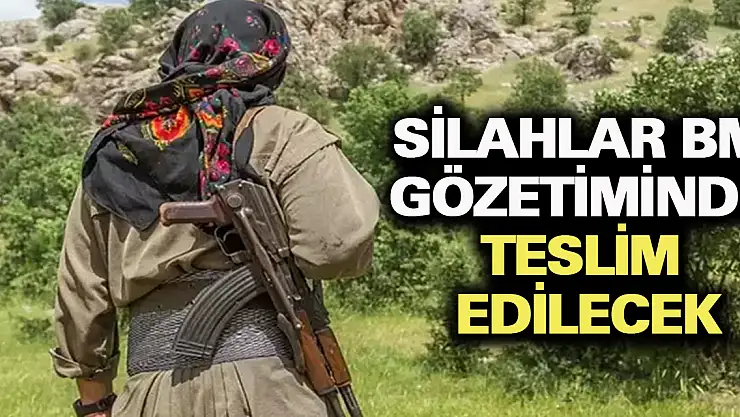Silahlar BM gözetiminde teslim edilecek