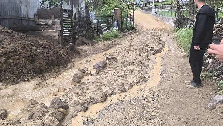 Ahır, sel sularına teslim oldu
