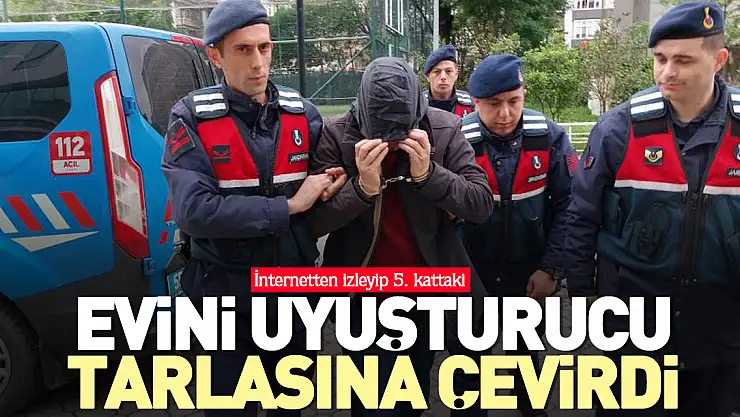 Jandarmanın düzenlediği operasyonda 127 kök kenevir ele geçirildi