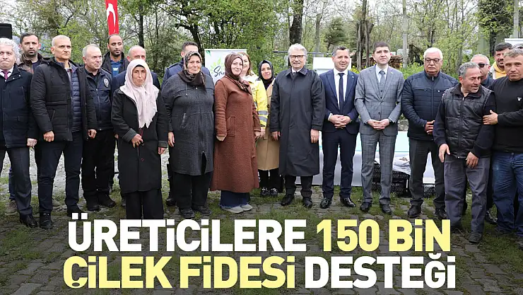 Üreticilere 150 bin çilek fidesi desteği