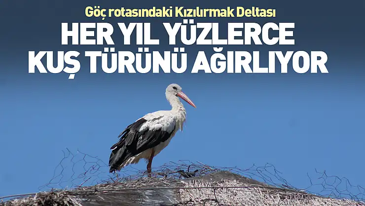 Her yıl yüzlerce kuş türünü ağırlıyor