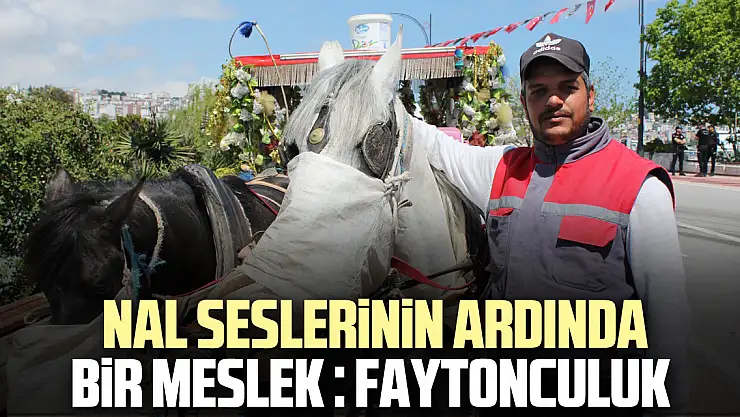 NAL SESLERİNİN ARDINDA BİR MESLEK : FAYTONCULUK