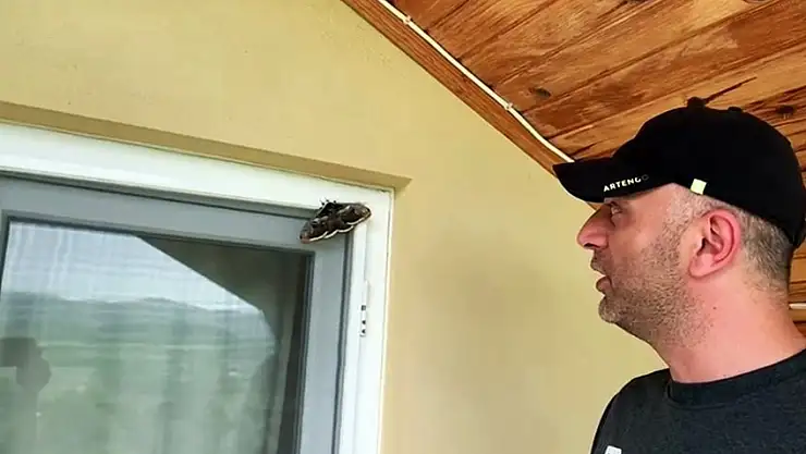 Vincent Van Gogh'un ilham kaynağı Sakarya'da