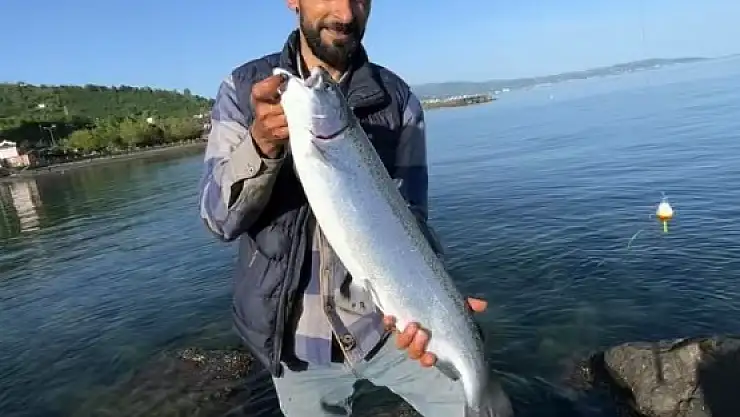 Kafesten kaçtılar ama oltadan kaçamadılar