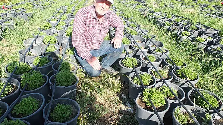 Fide Üretim Merkezi haline getirdi