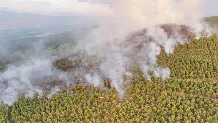 Karagöl: '40 hektarlık bir alan yandı diye tahmin ediyoruz'