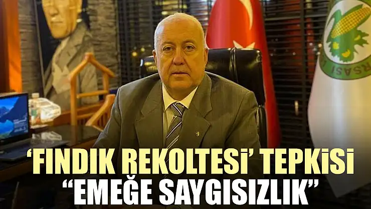 'Fındık rekoltesi' tepkisi 'EMEĞE SAYGISIZLIK'