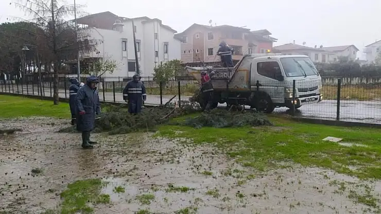 Ordu'da fırtına 12 çatıyı uçurdu