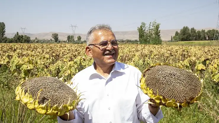 Büyükşehir'den ay çekirdeği üretiminde ilk sırada olan Kayseri'ye 5 kurutma sahası