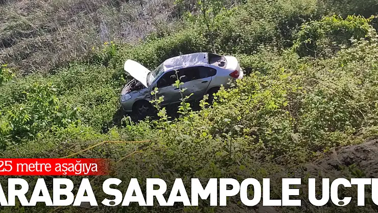 Araba Şarampole Uçtu