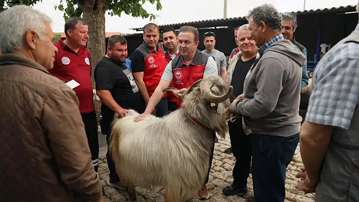 Kurban pazarlarında sağlık ve hijyen kontrolü