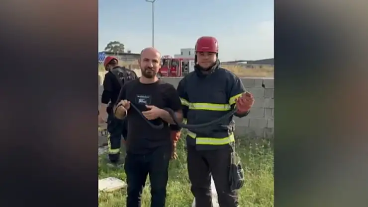 Bahçeye giren yılanla hatıra fotoğrafı çektirdiler