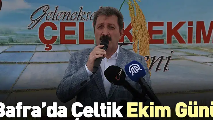 Bafra'da Çeltik Ekim Günü