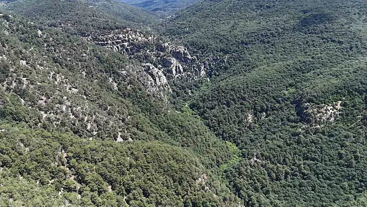 Kayıp müdür sele kapılmış