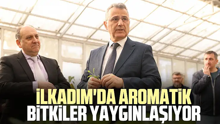 iLKADIM'DA AROMATiK  BiTKiLER YAYGINLAŞIYOR