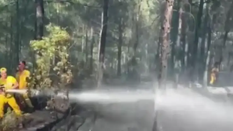 Marmaris'teki orman yangını kontrol altında